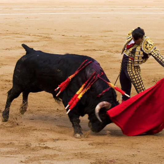 Corrida de Toros